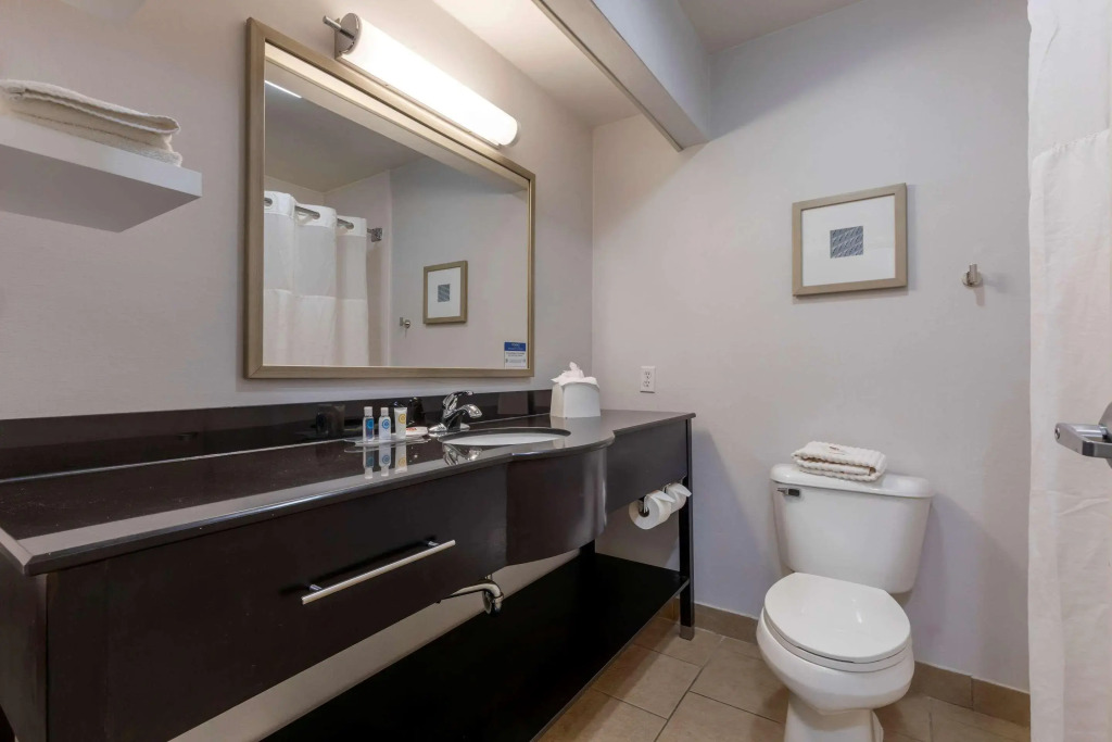Comfort Inn Sherman - Denison Area