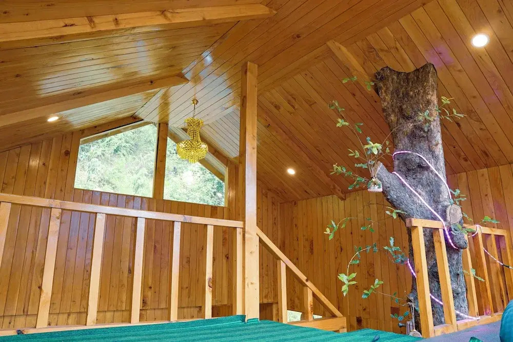 WOW Duplex Treehouse & Cottages