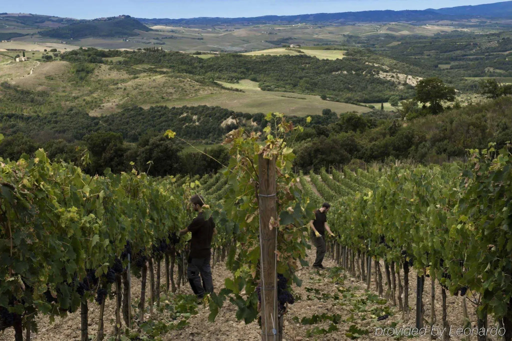 Castello di Velona Resort, Thermal SPA & Winery