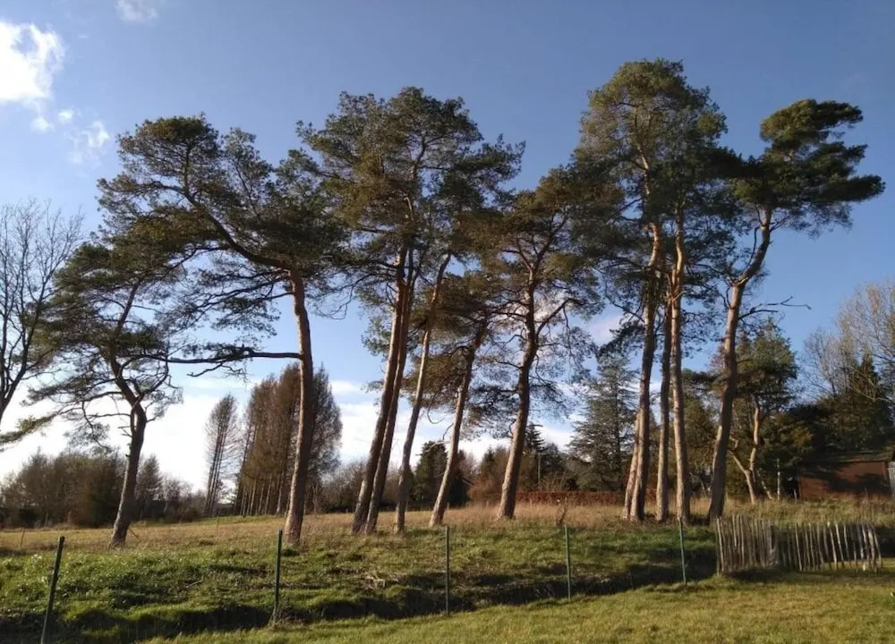 Studio in Belgium Near Ardennes Forest