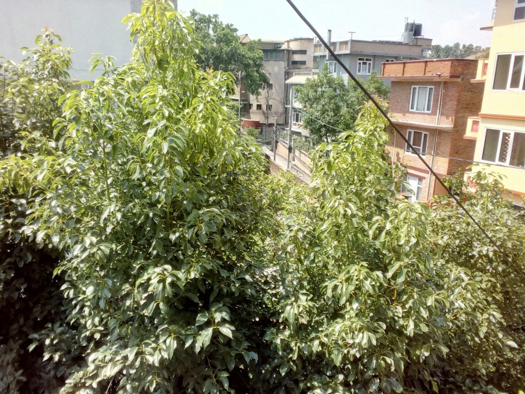 OYO 135 Lost Garden Apartment and Guest House