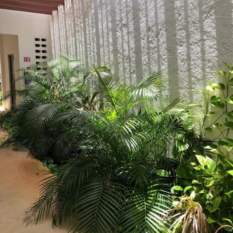 Downtown Suites Cancun