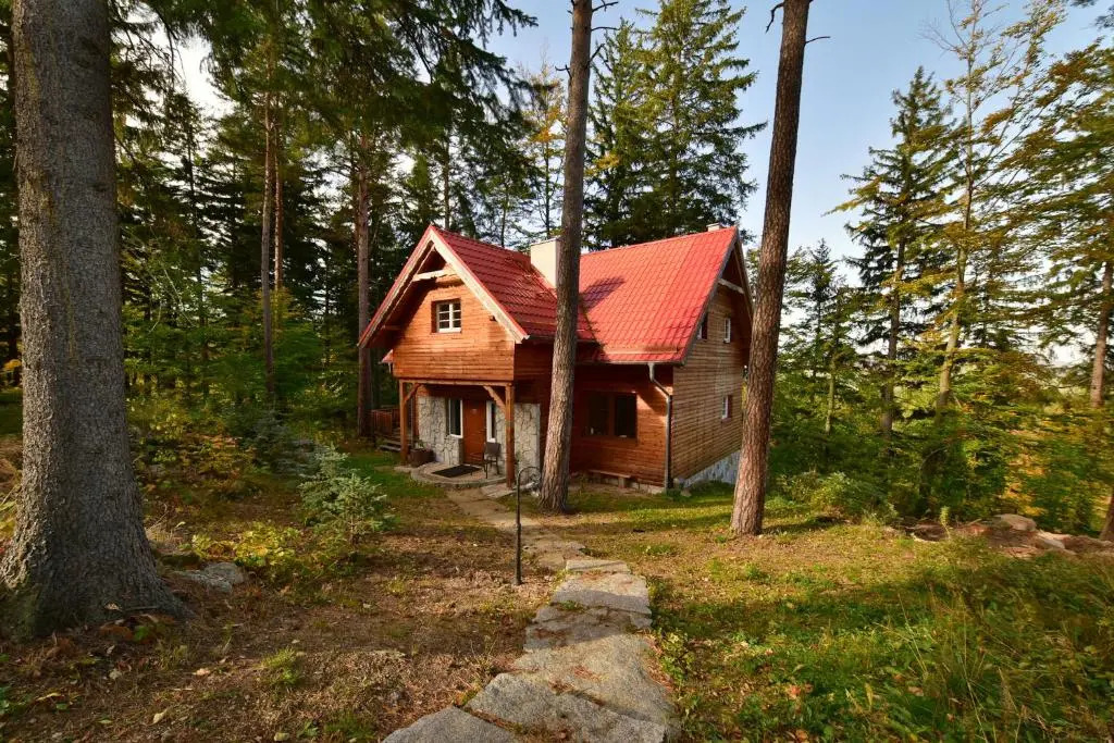 Leśny Domek koło Karpacza - Apartamentuj