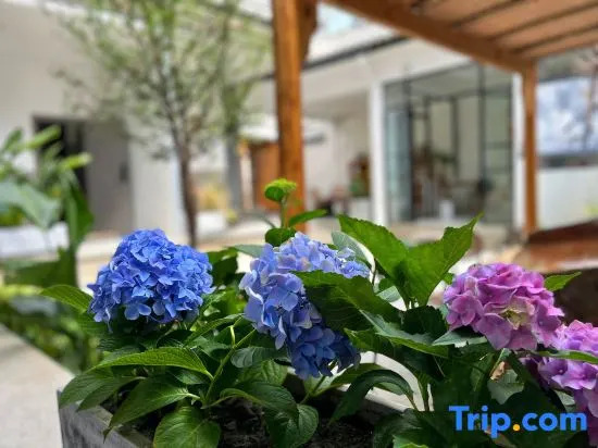 Ximu Yunting Villa Family Leisure Holiday Meisu(SuixiVillageBohaiSwanEcologicalCorridorShangSection)