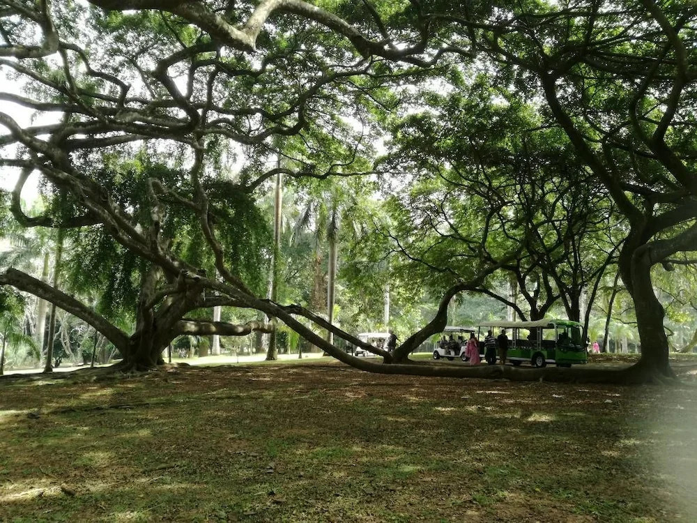 Kandy La Grande