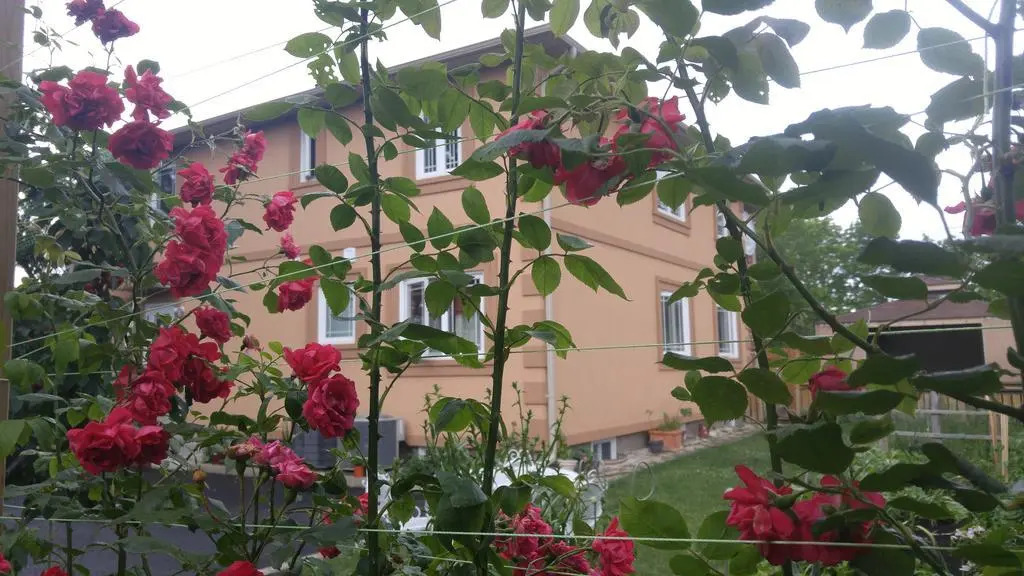 Two Rivers Bed and Breakfast