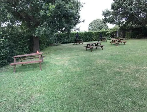 The Saxon Inn