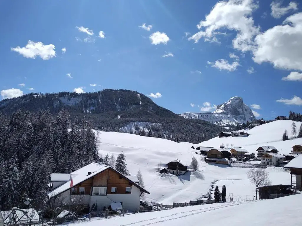 Belodei