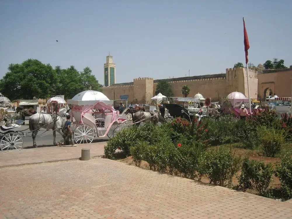 Riad AlKATIB Meknès