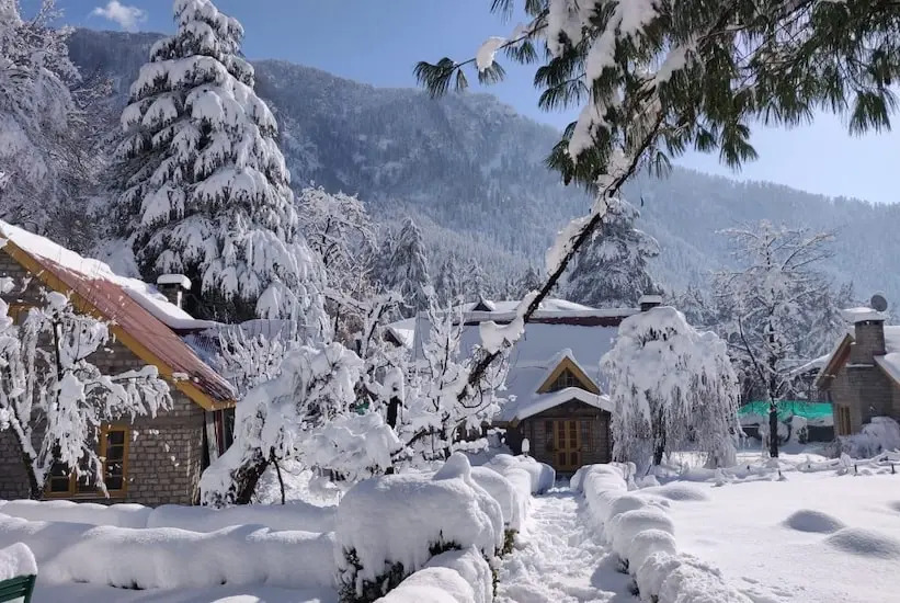 Leela Hut Cottage