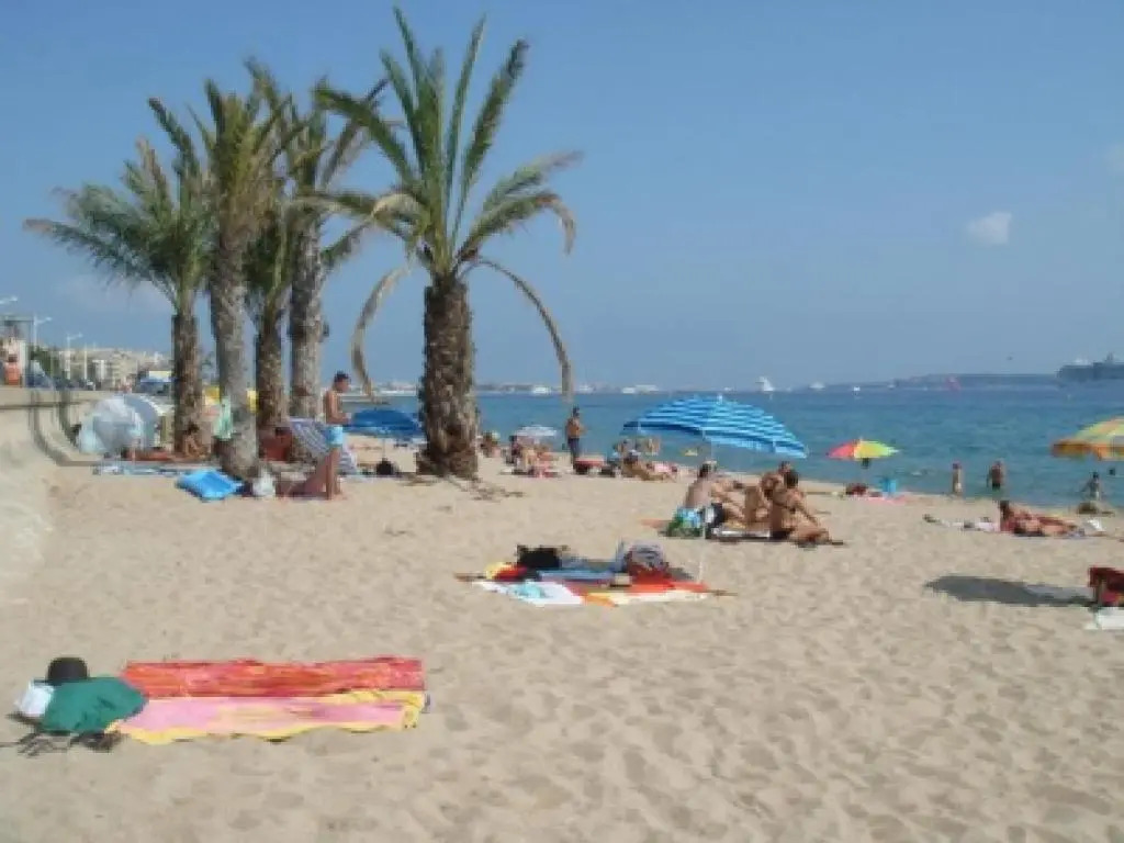 Modern one Bedroomed Apartment Just off the Cannes Seafront With a Terrace and Pool Access - 1753