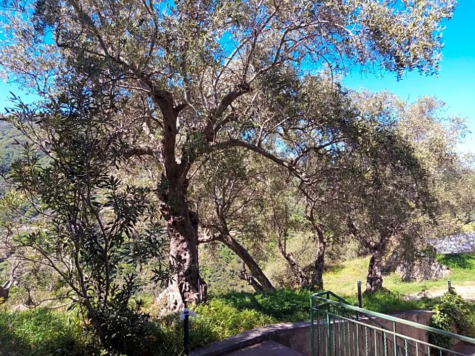 LAntica Quercia B&B
