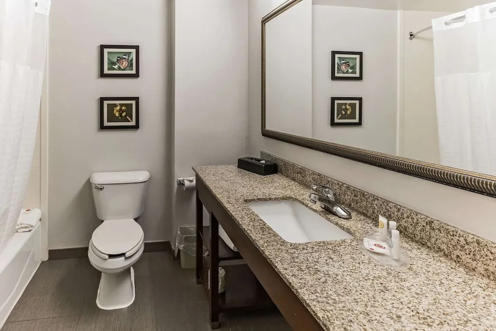 Comfort Suites