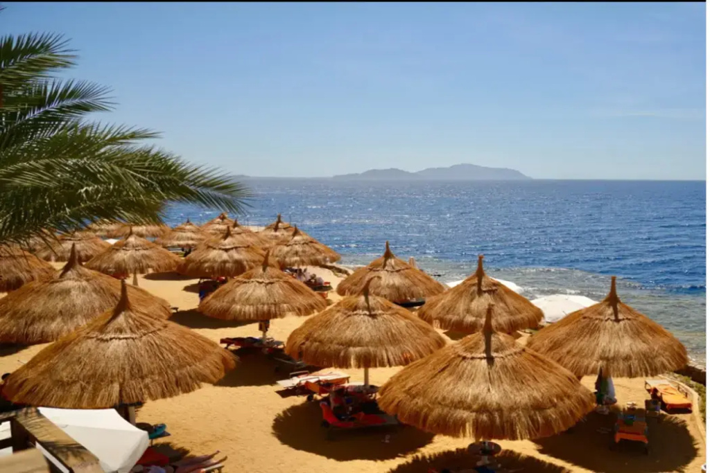 Отель Pickalbatros Luxury Suites Sharm El Sheikh