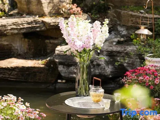 Zhangjiajie Forest Park Nashanwan Homestay