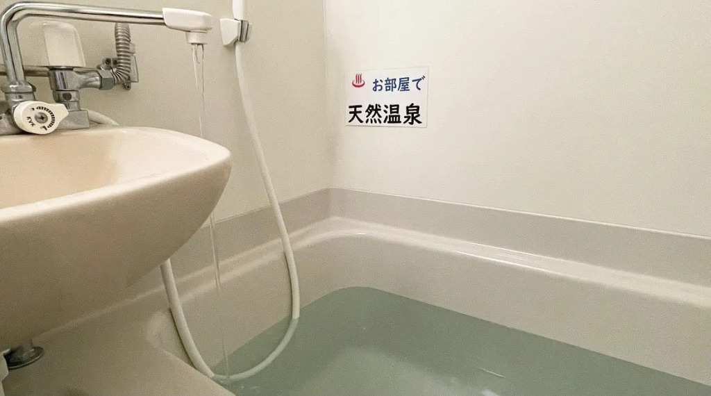 Matsueshinjiko Onsen Matsue City Hotel Annex