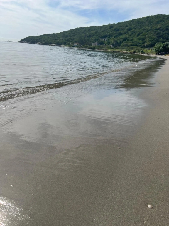 Epic Airbnb vacation rental In Jamaica