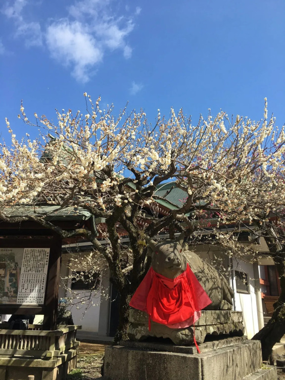 tsubame-ya