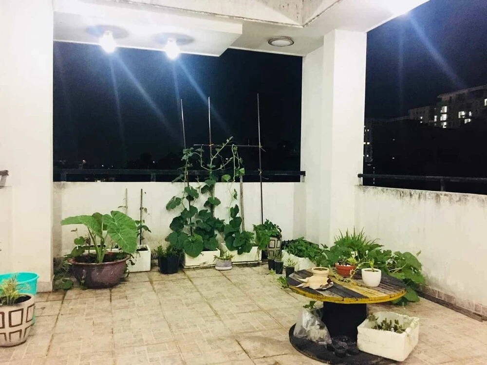 Dreambox Oxeraak Tan Binh - Hostel