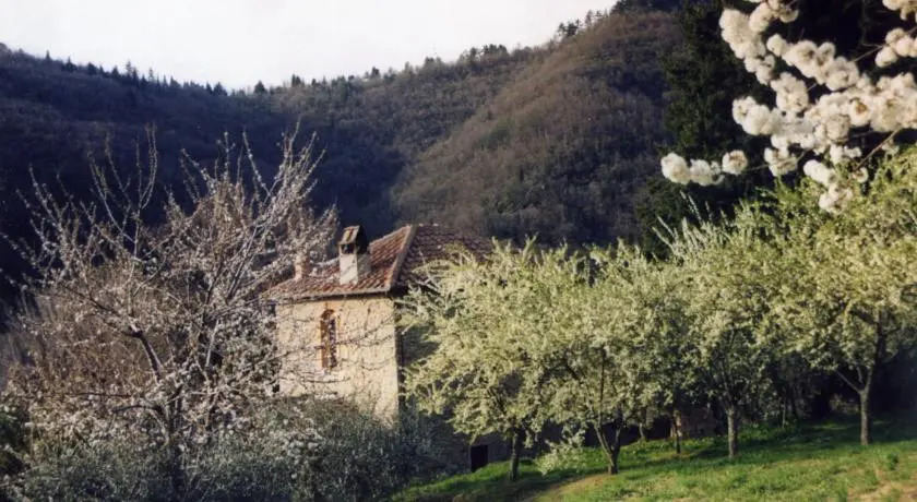 Agriturismo Luce