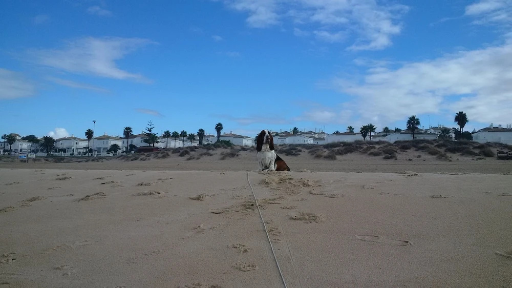 House With 4 Bedrooms in Chiclana de la Frontera, With Wonderful sea V