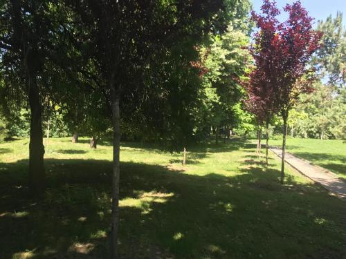 EVS Apartments Ghica Tei