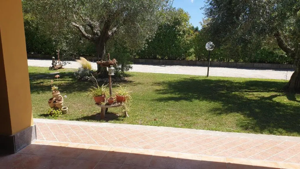 LAntico Vigneto