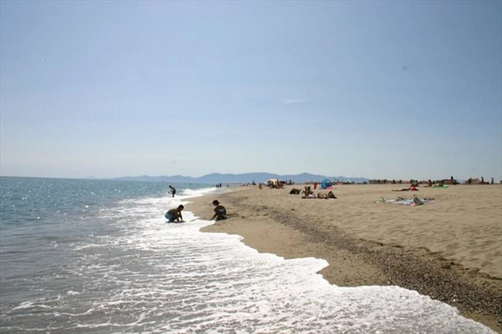 Apartment With 2 Bedrooms in Le Barcarès, With Pool Access, Furnished