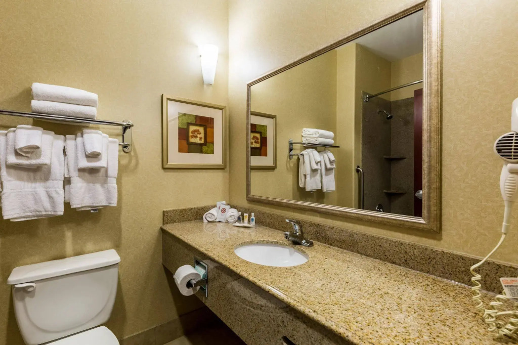 Comfort Suites Galveston Cruise Port Area - Beachside