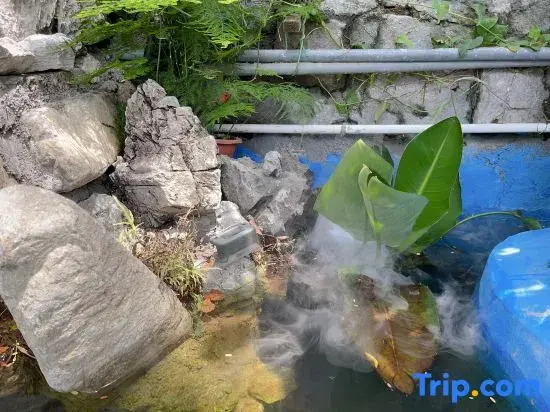 Xiamen Haicang Hade Courtyard Homestay