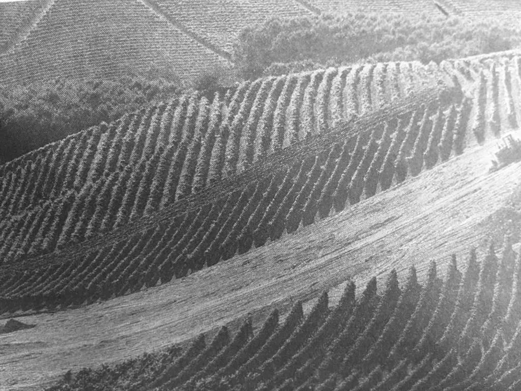 Sangrato 1883