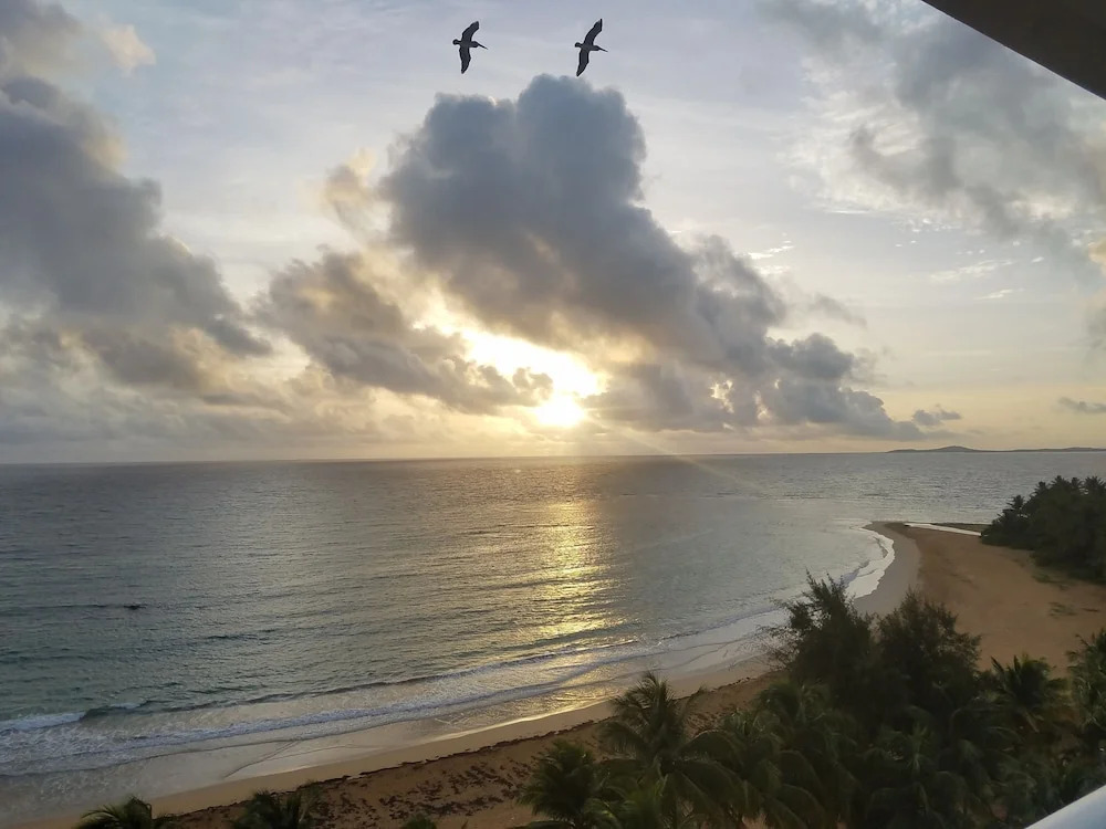 Breathtaking ocean view apt, steps from the beach!