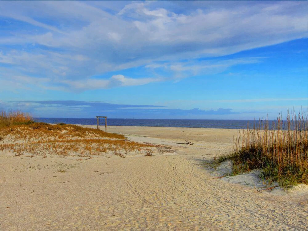 Sunny On Seaside