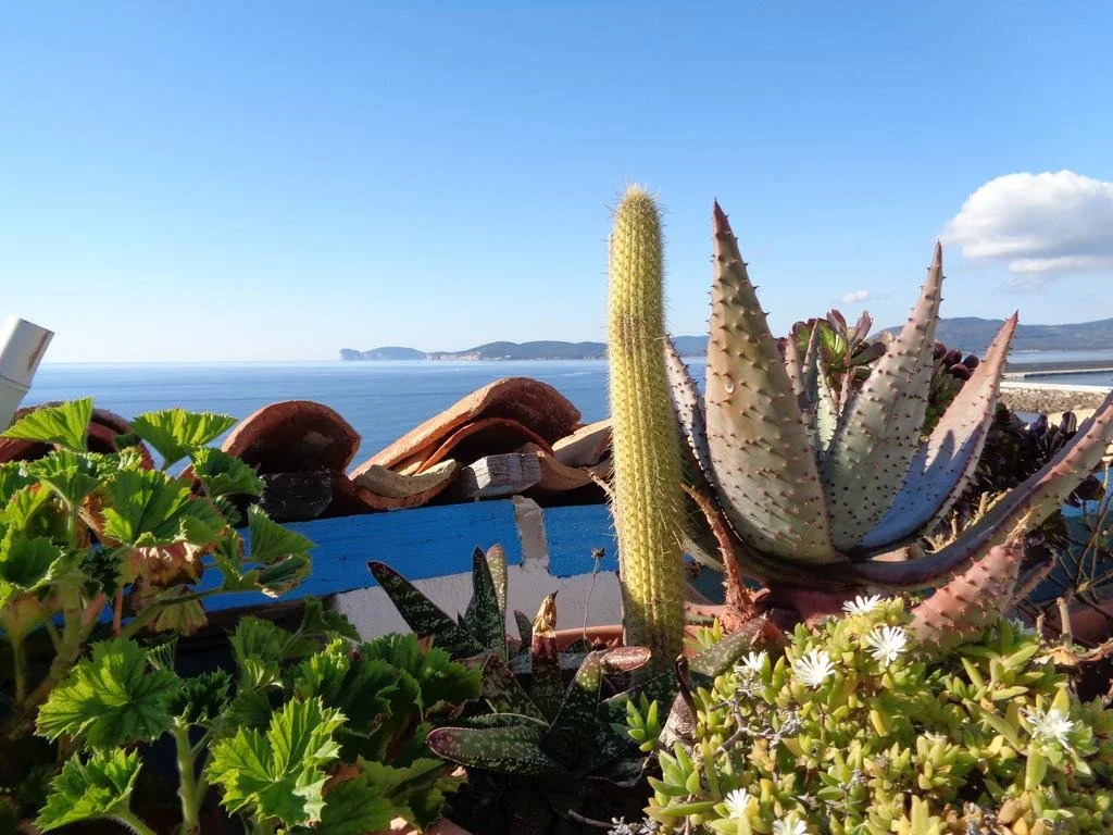 La Posada Sul Golfo
