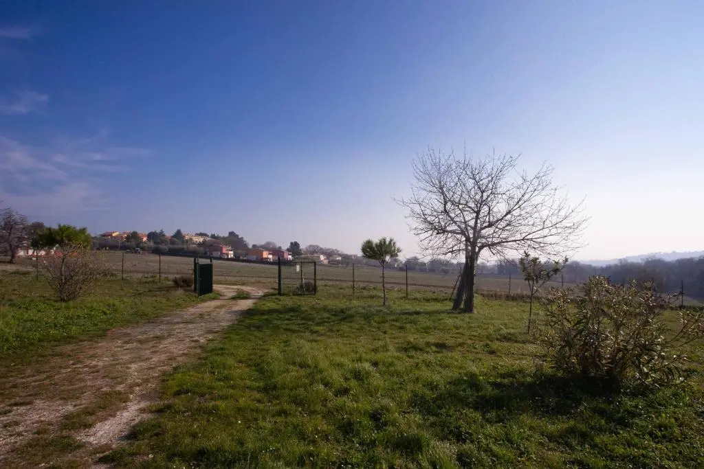 S209 - Sirolo, nuovissimo bilocale con portico pt