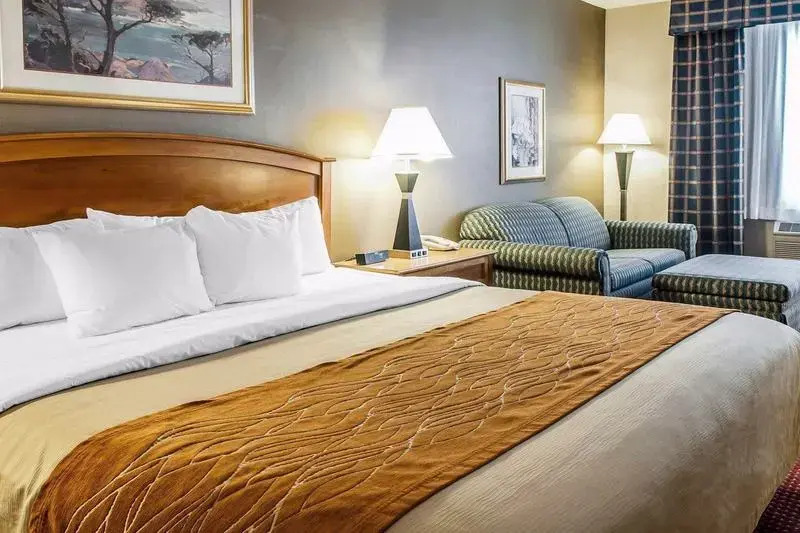Comfort Inn & Suites I-25 Near Spaceport America