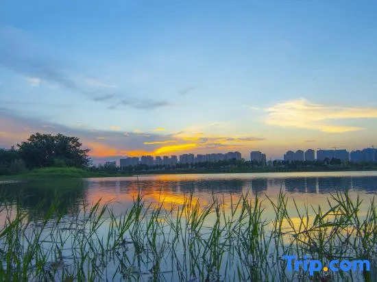 Yunyou Homestay (Yanghu Tianjie Yanghu Xincheng Subway Station)