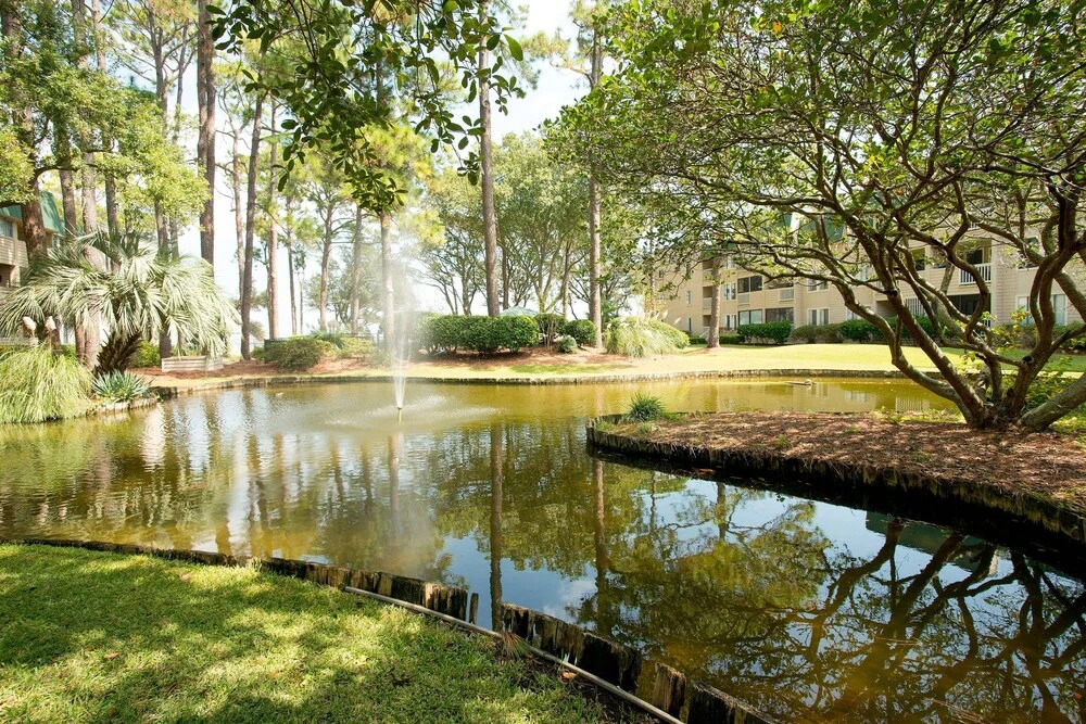 David's Dream Destination 2 Bedroom Condo