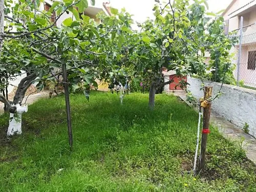 Casa Bandinu