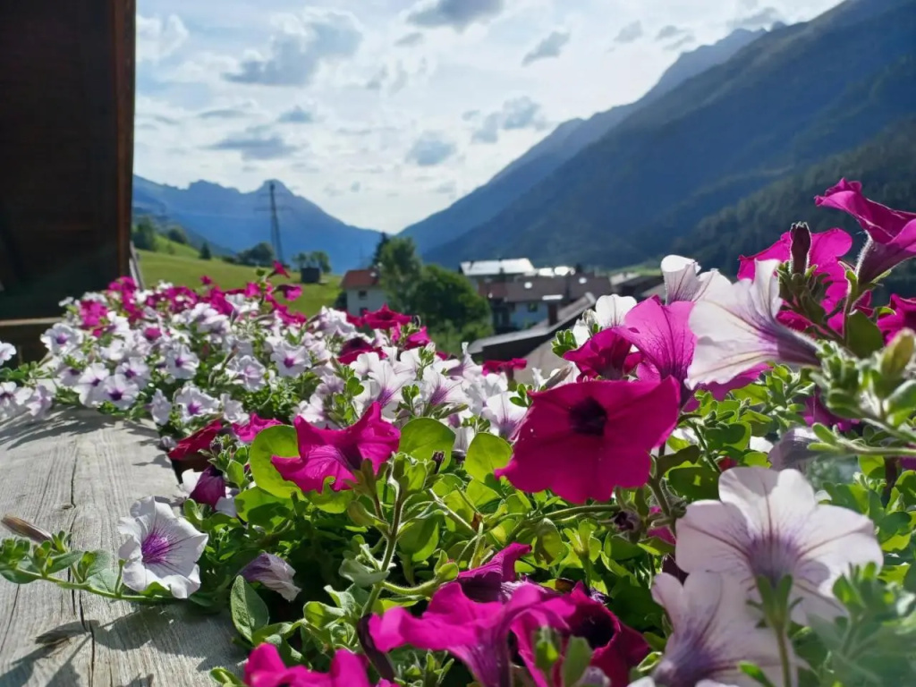 Gsörhof