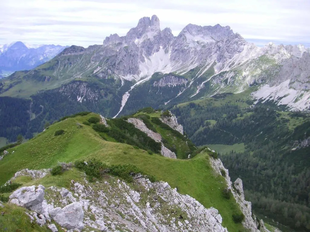 Aparthaus Birkenheim