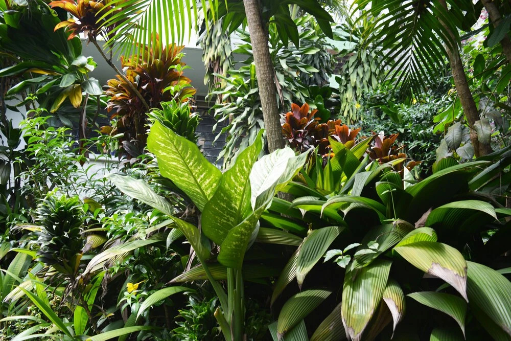 The Green House Hostel