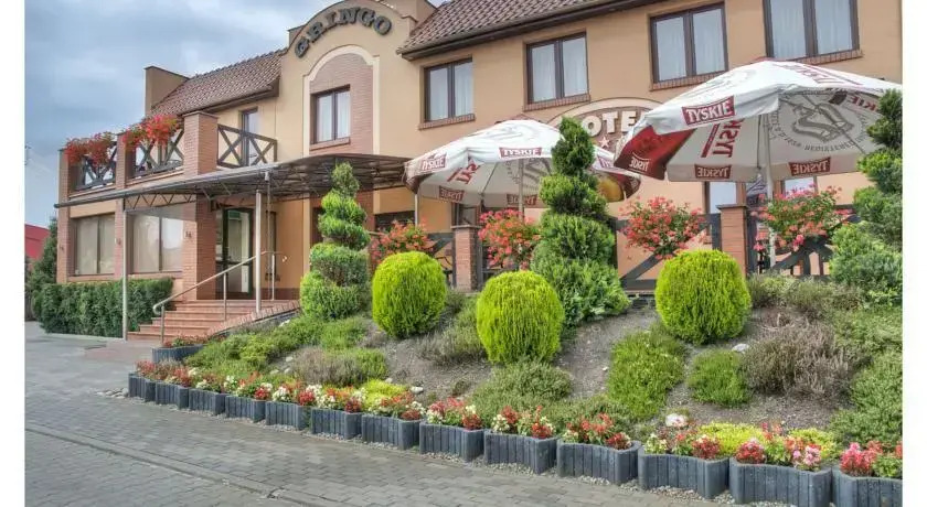Hotel Gringo