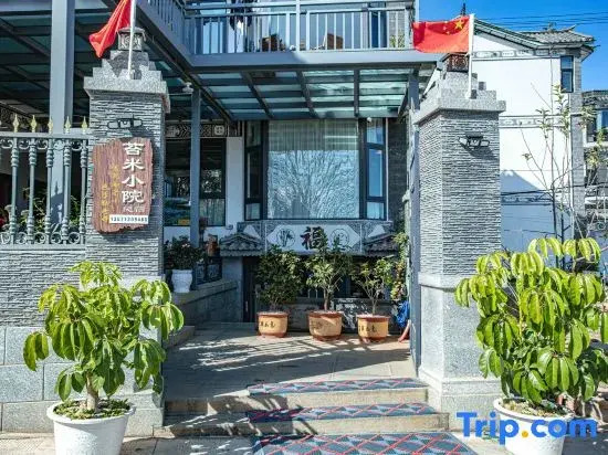 Dali Moss Rice Courtyard B&B