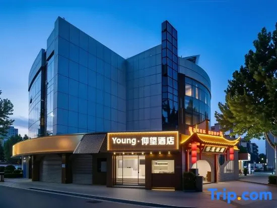 Young Lookingfor Hotel