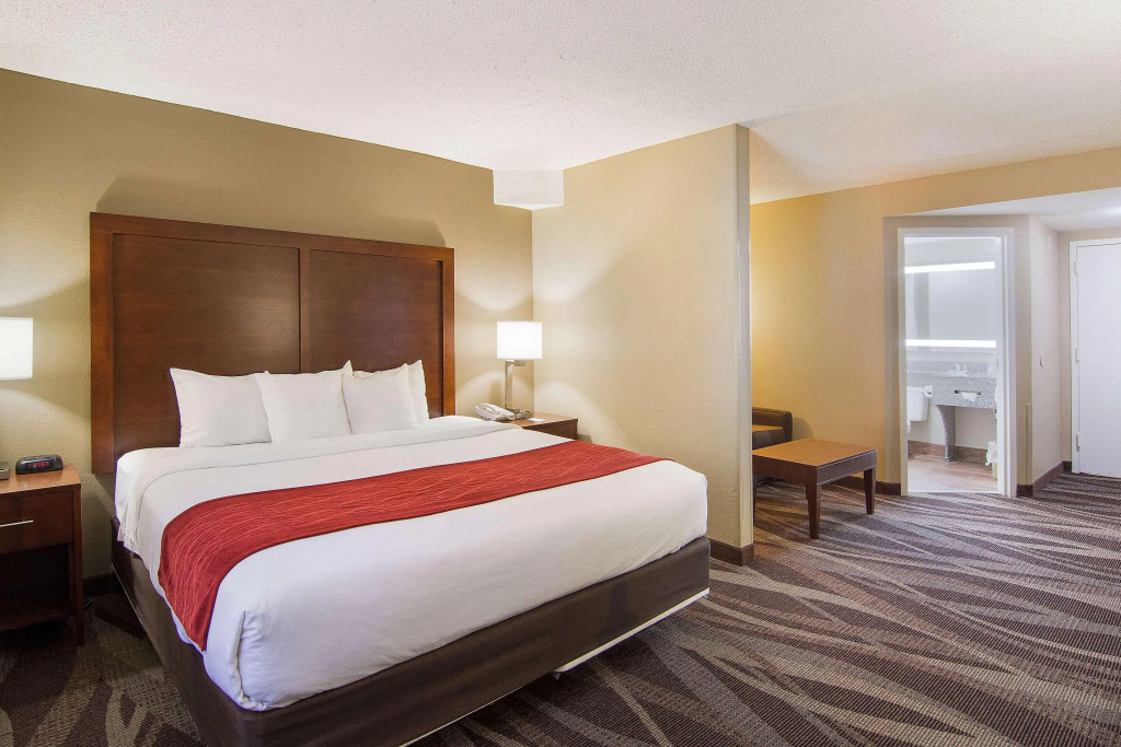 Comfort Inn Pensacola - University Area