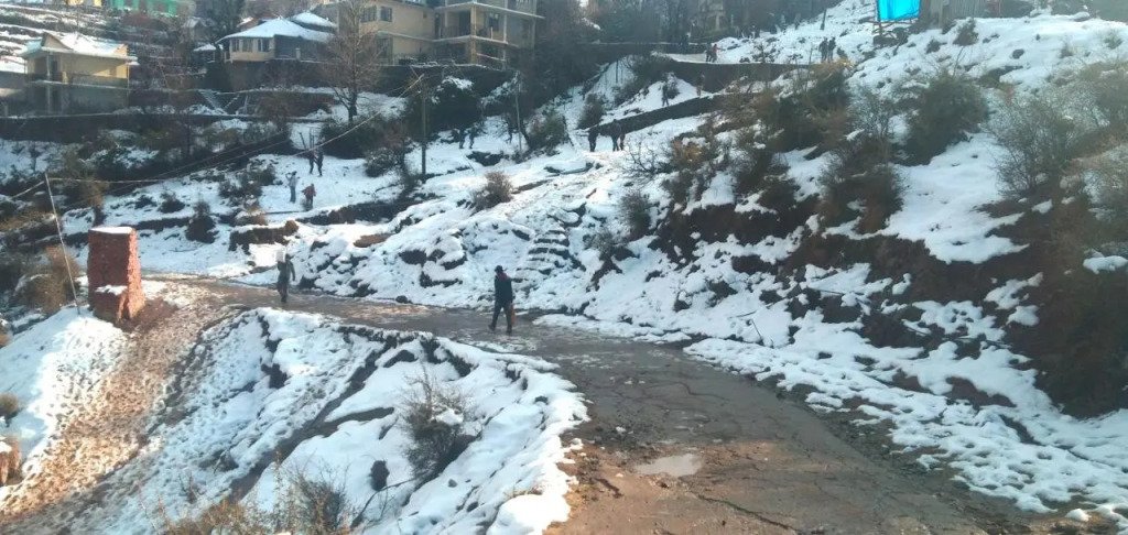 Hotel Victoriya Palace,Mcleod Ganj