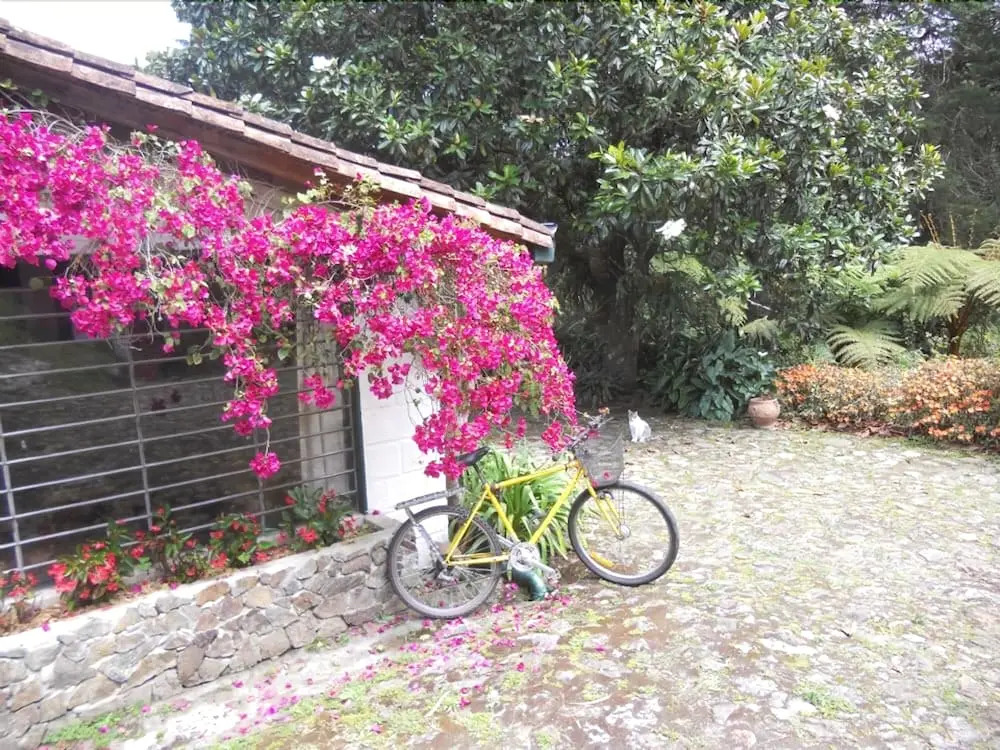 Hostal Ensenillo