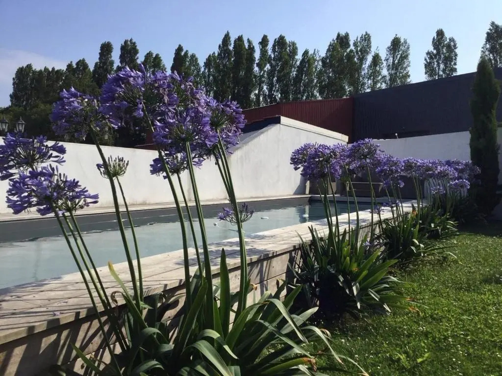 Villa Saint-Jean-de-Luz, 4 pièces, 6 personnes - FR-1-239-718