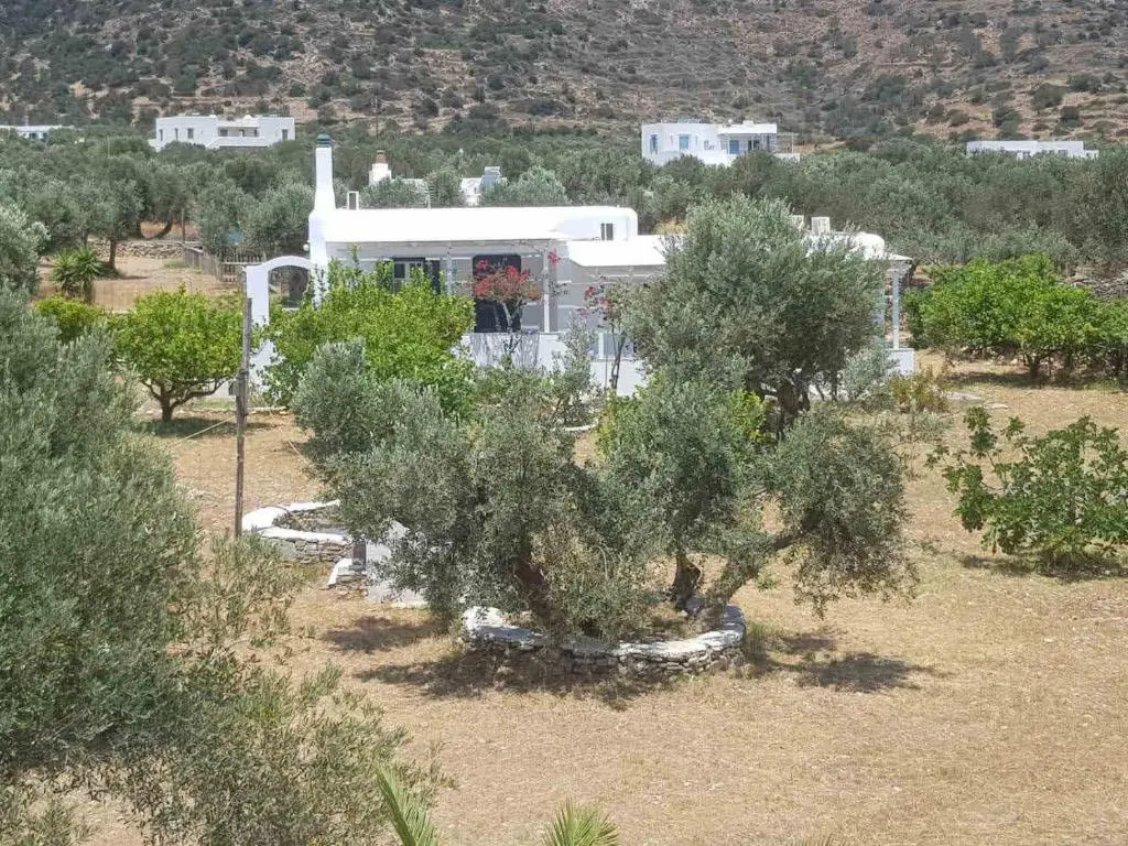 Elisso Villas